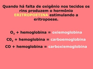Quando há falta de oxigênio nos tecidos os
rins produzem o hormônio
ERITROPOETINA estimulando a
eritropoese.
O2 + hemoglobina = oxiemoglobina
C02 + hemoglobina = carboemoglobina
CO + hemoglobina = carboxiemoglobina
 
