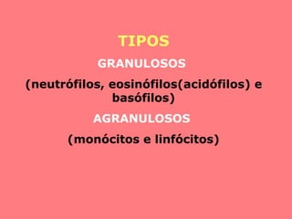 TIPOS
GRANULOSOS
(neutrófilos, eosinófilos(acidófilos) e
basófilos)
AGRANULOSOS
(monócitos e linfócitos)
 