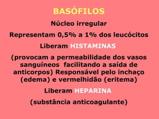 BASÓFILOS
Núcleo irregular
Representam 0,5% a 1% dos leucócitos
Liberam HISTAMINAS
(provocam a permeabilidade dos vasos
sanguíneos facilitando a saída de
anticorpos) Responsável pelo inchaço
(edema) e vermelhidão (eritema)
Liberam HEPARINA
(substância anticoagulante)
 