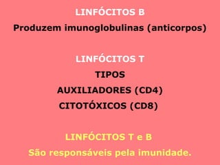 LINFÓCITOS B
Produzem imunoglobulinas (anticorpos)
LINFÓCITOS T
TIPOS
AUXILIADORES (CD4)
CITOTÓXICOS (CD8)
LINFÓCITOS T e B
São responsáveis pela imunidade.
 