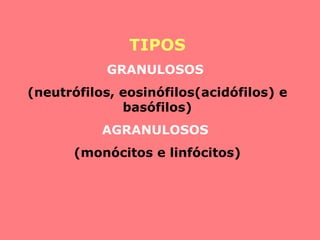 TIPOS GRANULOSOS  (neutrófilos, eosinófilos(acidófilos) e basófilos) AGRANULOSOS  (monócitos e linfócitos) 