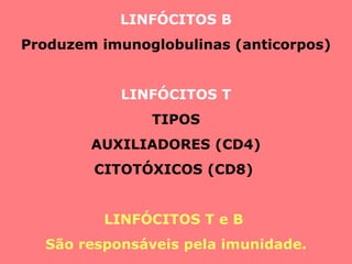 LINFÓCITOS B Produzem imunoglobulinas (anticorpos) LINFÓCITOS T TIPOS AUXILIADORES (CD4) CITOTÓXICOS (CD8)  LINFÓCITOS T e B  São responsáveis pela imunidade. 