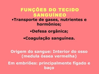 FUNÇÕES DO TECIDO SANGUÍNEO Transporte de gases, nutrientes e hormônios; Defesa orgânica; Coagulação sanguínea. Origem do sangue: Interior do osso (medula óssea vermelha) Em embriões: principalmente fígado e baço 