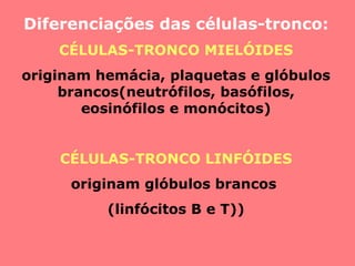 Diferenciações das células-tronco: CÉLULAS-TRONCO MIELÓIDES originam hemácia, plaquetas e glóbulos brancos(neutrófilos, basófilos, eosinófilos e monócitos) CÉLULAS-TRONCO LINFÓIDES originam glóbulos brancos  (linfócitos B e T)) 