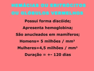 HEMÁCIAS OU ERITRÓCITOS  OU GLÓBULOS VERMELHOS Possui forma discóide; Apresenta hemoglobina; São anucleados em mamíferos; Homens= 5 milhões / mm 3   Mulheres=4,5 milhões / mm 3  Duração = +- 120 dias 
