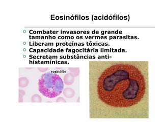 Eosinófilos (acidófilos)
 Combater invasores de grande
tamanho como os vermes parasitas.
 Liberam proteínas tóxicas.
 Capacidade fagocitária limitada.
 Secretam substâncias anti-
histamínicas.
 