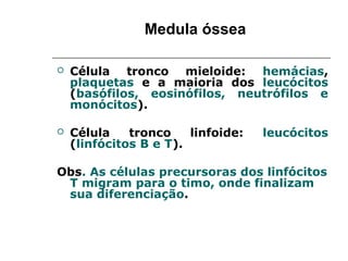 Medula óssea
 Célula tronco mieloide: hemácias,
plaquetas e a maioria dos leucócitos
(basófilos, eosinófilos, neutrófilos e
monócitos).
 Célula tronco linfoide: leucócitos
(linfócitos B e T).
Obs. As células precursoras dos linfócitos
T migram para o timo, onde finalizam
sua diferenciação.
 