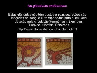As glândulas endócrinas:
Estas glândulas não têm ductos e suas secreções são
lançadas no sangue e transportadas para o seu local
de ação pela circulação(Hormônios). Exemplos:
Tireóide, Hipófise, Pâncreas.
http://www.planetabio.com/histologia.html
 