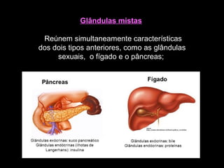 Glândulas mistas
Reúnem simultaneamente características
dos dois tipos anteriores, como as glândulas
sexuais, o fígado e o pâncreas;
 