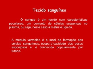             O  sangue  é  um  tecido  com  características 
peculiares,  um  conjunto  de  células  suspensas  no 
plasma, ou seja, neste caso a matriz é líquida.
Tecido sanguíneo
A  medula  vermelha  é  o  local  de  formação  das 
células  sanguíneas, ocupa a cavidade  dos  ossos 
esponjosos  e   é  conhecida  popularmente  por 
tutano.  
 