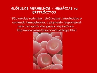 São células redondas, bicôncavas, anucleadas e 
contendo hemoglobina, o pigmento responsável 
pelo transporte dos gases respiratórios. 
http://www.planetabio.com/histologia.html
GLÓBULOS VERMELHOS – HEMÁCIAS ou
ERITRÓCITOS
 