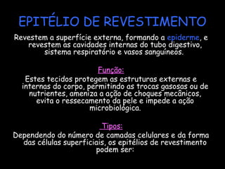 EPITÉLIO DE REVESTIMENTO
Revestem a superfície externa, formando a epiderme, e
revestem as cavidades internas do tubo digestivo,
sistema respiratório e vasos sanguíneos. 
Função:
Estes tecidos protegem as estruturas externas e
internas do corpo, permitindo as trocas gasosas ou de
nutrientes, ameniza a ação de choques mecânicos,
evita o ressecamento da pele e impede a ação
microbiológica.
 Tipos:
Dependendo do número de camadas celulares e da forma
das células superficiais, os epitélios de revestimento
podem ser:
 