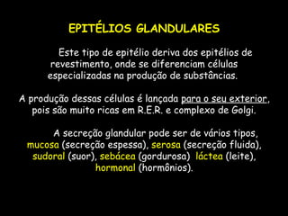 EPITÉLIOS GLANDULARES
 
        Este tipo de epitélio deriva dos epitélios de
revestimento, onde se diferenciam células
especializadas na produção de substâncias.
A produção dessas células é lançada para o seu exterior,
pois são muito ricas em R.E.R. e complexo de Golgi.
 
        A secreção glandular pode ser de vários tipos,
mucosa (secreção espessa), serosa (secreção fluida),
sudoral (suor), sebácea (gordurosa) láctea (leite),
hormonal (hormônios).
 