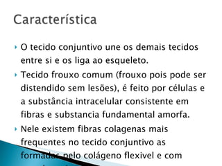 O tecido conjuntivo une os demais tecidos entre si e os liga ao esqueleto. Tecido frouxo comum (frouxo pois pode ser distendido sem lesões), é feito por células e a substância intracelular consistente em fibras e substancia fundamental amorfa. Nele existem fibras colagenas mais frequentes no tecido conjuntivo as formadas pelo colágeno flexivel e com grande resistencia a traçao. 