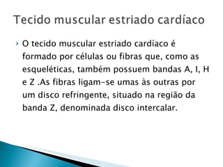 O tecido muscular estriado cardíaco é formado por células ou fibras que, como as esqueléticas, também possuem bandas A, I, H e Z .As fibras ligam-se umas às outras por um disco refringente, situado na região da banda Z, denominada disco intercalar. 