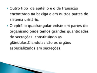 Outro tipo  de epitélio é o de transição encontrado na bexiga e em outros partes do sistema urinário. O epitélio quadrangular existe em partes do organismo onde temos grandes quantidades de secreções, constituindo as glândulas.Glandulas são os órgãos especializados em secreções. 