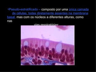 •Pseudo-estratificado – composto por uma única camada
de células, todas diretamente assentes na membrana
basal, mas com os núcleos a diferentes alturas, como
nas
vias respiratórias;
 