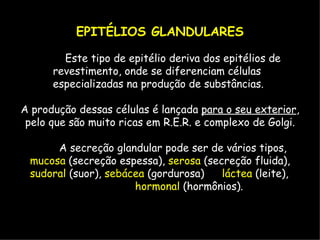 EPITÉLIOS GLANDULARES
Este tipo de epitélio deriva dos epitélios de
revestimento, onde se diferenciam células
especializadas na produção de substâncias.
A produção dessas células é lançada para o seu exterior,
pelo que são muito ricas em R.E.R. e complexo de Golgi.
A secreção glandular pode ser de vários tipos,
mucosa (secreção espessa), serosa (secreção fluida),
sudoral (suor), sebácea (gordurosa) láctea (leite),
hormonal (hormônios).
 