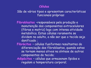 Células
São de vários tipos e apresentam características
funcionais próprias:
Fibroblastos –responsáveis pela produção e
manutenção dos componentes extracelulares
(fibras e matriz) logo com intensa atividade
metabólica. Estas células raramente se
dividem no adulto, a não ser que o tecido seja
danificado ;
Fibrócitos – células fusiformes resultantes da
diferenciação dos fibroblastos, quando estes
se tornam menos ativos na síntese de outros
componentes do tecido;
Adipócitos – células que armazenam lípidos e
regulam a temperatura corporal;
 