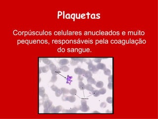 Plaquetas
Corpúsculos celulares anucleados e muito
pequenos, responsáveis pela coagulação
do sangue.
 