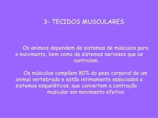 Os animais dependem de sistemas de músculos para
o movimento, bem como de sistemas nervosos que os
controlam.
Os músculos compõem 80% do peso corporal de um
animal vertebrado e estão intimamente associados a
sistemas esqueléticos, que convertem a contração
muscular em movimento efetivo.
3- TECIDOS MUSCULARES
 