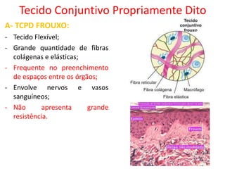Tecido Conjuntivo Propriamente Dito
A- TCPD FROUXO:
- Tecido Flexível;
- Grande quantidade de fibras
colágenas e elásticas;
- Frequente no preenchimento
de espaços entre os órgãos;
- Envolve nervos e vasos
sanguíneos;
- Não apresenta grande
resistência.
 