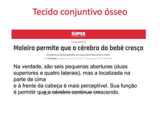Na verdade, são seis pequenas aberturas (duas
superiores e quatro laterais), mas a localizada na
parte de cima
e à frente da cabeça é mais perceptível. Sua função
é permitir que o cérebro continue crescendo.
https://super.abril.com.br/comportamento/moleira-permite-que-o-cerebro-do-bebe-
cresca/
Tecido conjuntivo ósseo
 