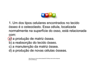 1. Um dos tipos celulares encontrados no tecido
ósseo é o osteoclasto. Essa célula, localizada
normalmente na superfície do osso, está relacionada
com:
a) a produção de matriz óssea.
b) a reabsorção do tecido ósseo.
c) a manutenção da matriz óssea.
d) a produção de novas células ósseas.
https://becorpo.ch/wp-content/uploads/2013/09/quiz-test-sortie-entreprise-
soir%C3%A9e.png
 