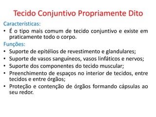 Tecido Conjuntivo Propriamente Dito
Características:
• É o tipo mais comum de tecido conjuntivo e existe em
praticamente todo o corpo.
Funções:
• Suporte de epitélios de revestimento e glandulares;
• Suporte de vasos sanguíneos, vasos linfáticos e nervos;
• Suporte dos componentes do tecido muscular;
• Preenchimento de espaços no interior de tecidos, entre
tecidos e entre órgãos;
• Proteção e contenção de órgãos formando cápsulas ao
seu redor.
 