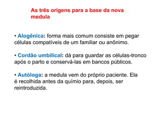 • Alogênica: forma mais comum consiste em pegar
células compatíveis de um familiar ou anônimo.
• Cordão umbilical: dá para guardar as células-tronco
após o parto e conservá-las em bancos públicos.
• Autóloga: a medula vem do próprio paciente. Ela
é recolhida antes da químio para, depois, ser
reintroduzida.
As três origens para a base da nova
medula
 