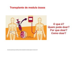 Transplante de medula óssea
http://www.saude.df.gov.br/icdf-faz-primeiro-transplante-de-medula-ossea-em-crianca-no-df/
 