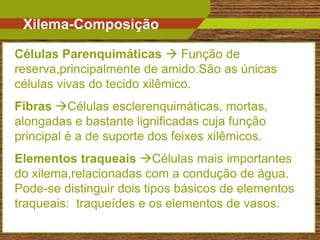 Xilema-Composição

Células Parenquimáticas  Função de
reserva,principalmente de amido.São as únicas
células vivas do tecido xilêmico.
Fibras Células esclerenquimáticas, mortas,
alongadas e bastante lignificadas cuja função
principal é a de suporte dos feixes xilêmicos.
Elementos traqueais Células mais importantes
do xilema,relacionadas com a condução de água.
Pode-se distinguir dois tipos básicos de elementos
traqueais: traqueídes e os elementos de vasos.
                                                     11
 
