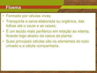 Floema
• Formado por células vivas;
• Transporta a seiva elaborada ou orgânica, das
  folhas até o caule e as raízes;
• É um tecido mais periférico em relação ao xilema,
  ficando logo abaixo da casca da planta;
• Suas principais células são os elementos do tubo
  crivado e a célula companheira.




                                                  15
 