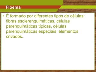 Floema

• É formado por diferentes tipos de células:
  fibras esclerenquimáticas, células
  parenquimáticas típicas, células
  parenquimáticas especiais elementos
  crivados.




                                               16
 