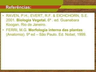 Referências:
• RAVEN, P.H.; EVERT, R.F. & EICHCHORN, S.E.
  2001. Biologia Vegetal. 6ª . ed. Guanabara
  Koogan. Rio de Janeiro.
• FERRI, M.G. Morfologia interna das plantas
  (Anatomia). 9ª ed – São Paulo. Ed. Nobel, 1999.




                                                    23
 