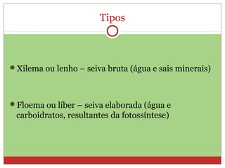 Tipos
Xilema ou lenho – seiva bruta (água e sais minerais)
Floema ou líber – seiva elaborada (água e
carboidratos, resultantes da fotossíntese)
 
