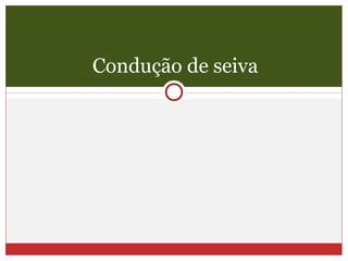 Condução de seiva
 