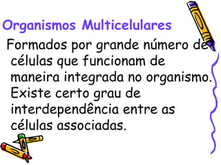 Organismos Multicelulares   Formados por grande número de células que funcionam de maneira integrada no organismo. Existe certo grau de interdependência entre as    células associadas.    