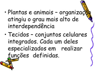 Plantas e animais – organização atingiu o grau mais alto de interdependência Tecidos – conjuntos celulares integrados. Cada um deles especializados em  realizar funções  definidas. 