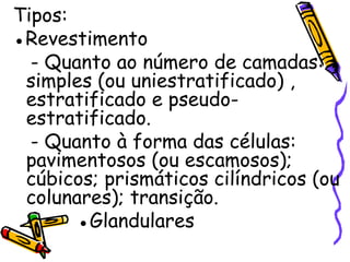 Tipos: ● Revestimento - Quanto ao número de camadas: simples (ou uniestratificado) , estratificado e pseudo-estratificado. - Quanto à forma das células: pavimentosos (ou escamosos); cúbicos; prismáticos cilíndricos (ou colunares); transição. ● Glandulares 