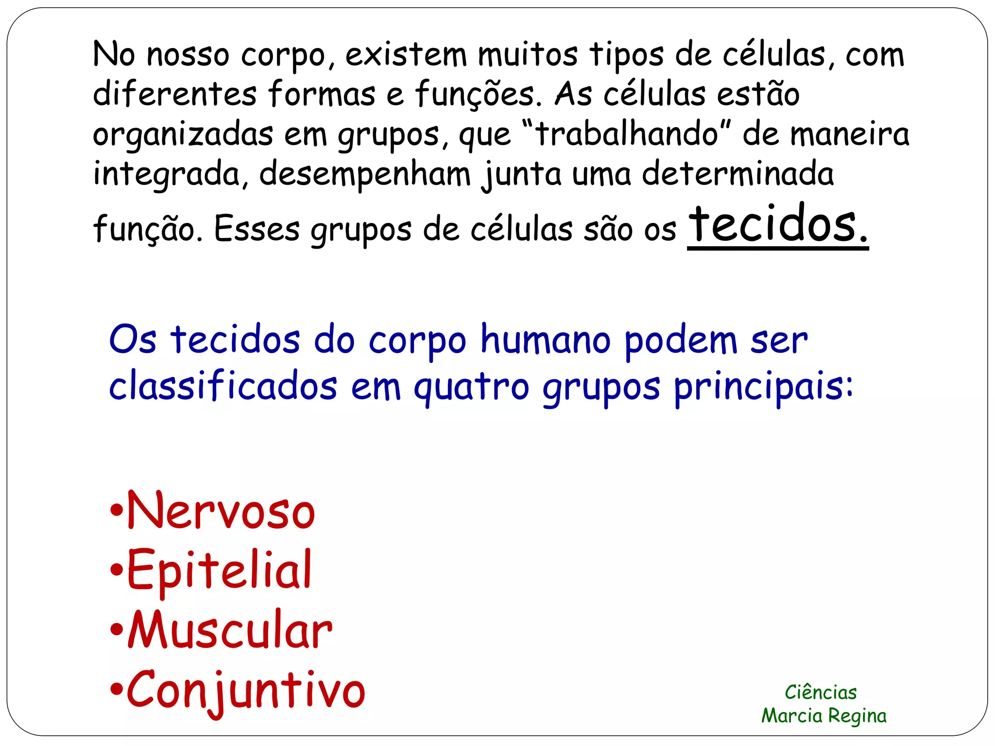 No nosso corpo, existem muitos tipos de células, com
diferentes formas e funções. As células estão
organizadas em grupos, que “trabalhando” de maneira
integrada, desempenham junta uma determinada
função. Esses grupos de células são os tecidos.
Os tecidos do corpo humano podem ser
classificados em quatro grupos principais:
•Nervoso
•Epitelial
•Muscular
•Conjuntivo Ciências
Marcia Regina
 