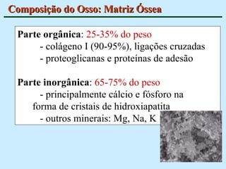 Composição do Osso: Matriz Óssea Parte orgânica :  25-35% do peso   - colágeno I (90-95%), ligações cruzadas - proteoglicanas e proteínas de adesão Parte inorgânica :  65-75% do peso - principalmente cálcio e fósforo na forma de cristais de hidroxiapatita - outros minerais: Mg, Na, K 