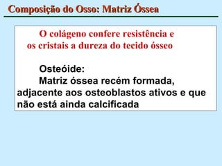 Composição do Osso: Matriz Óssea O colágeno confere resistência e os cristais a dureza do tecido ósseo Osteóide:  Matriz óssea recém formada, adjacente aos osteoblastos ativos e que não está ainda calcificada 