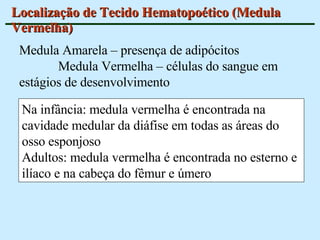 Localização de Tecido Hematopoético (Medula Vermelha) Na infância: medula vermelha é encontrada na cavidade medular da diáfise em todas as áreas do osso esponjoso  Adultos: medula vermelha é encontrada no esterno e ilíaco e na cabeça do fêmur e úmero Medula Amarela – presença de adipócitos  Medula Vermelha – células do sangue em estágios de desenvolvimento 