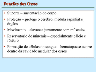 Funções dos Ossos Suporta – sustentação do corpo Proteção – protege o cérebro, medula espinhal e órgãos Movimento – alavanca juntamente com músculos Reservatório de minerais – especialmente cálcio e fósforo Formação de células do sangue – hematopoese ocorre dentro da cavidade medular dos ossos 