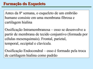 Formação do Esqueleto Antes da 8ª semana, o esqueleto de um embrião humano consiste em uma membrana fibrosa e cartilagem hialina  Ossificação Intramembranosa – osso se desenvolve a partir de membrana de tecido conjuntivo (formada por células mesenquimais). Frontal, parietal, temporal, occipital e clavícula . Ossificação Endocondral – osso é formado pela troca de cartilagem hialina como padrão 