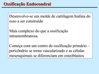 Ossificação Endocondral Desenvolve-se um molde de cartilagem hialina do osso a ser construído Mais complexo do que a ossificação intramembranosa.  Começa com um centro de ossificação primário – pericôndrio se torna vascularizado e as células mesenquimais se diferenciam em osteoblastos 