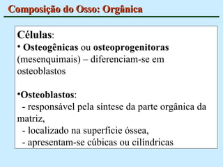 Composição do Osso: Orgânica Células : Osteogênicas  ou  osteoprogenitoras  (mesenquimais) – diferenciam-se em osteoblastos Osteoblastos : - responsável pela síntese da parte orgânica da matriz, - localizado na superfície óssea,  - apresentam-se cúbicas ou cilíndricas 