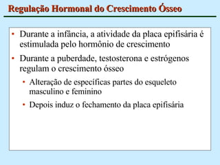 Durante a infância, a atividade da placa epifisária é estimulada pelo hormônio de crescimento Durante a puberdade, testosterona e estrógenos regulam o crescimento ósseo Alteração de específicas partes do esqueleto masculino e feminino Depois induz o fechamento da placa epifisária Regulação Hormonal do Crescimento Ósseo 