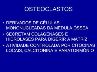 OSTEOCLASTOS

• DERIVADOS DE CÉLULAS
  MONONUCLEADAS DA MEDULA ÓSSEA
• SECRETAM COLAGENASES E
  HIDROLASES PARA DIGERIR A MATRIZ
• ATIVIDADE CONTROLADA POR CITOCINAS
  LOCAIS, CALCITONINA E PARATORMÔNIO
 